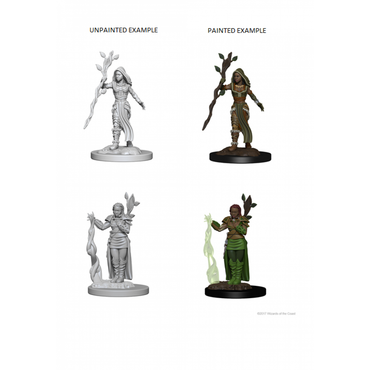 D&D Premium Painted Figures: Human Female Druid