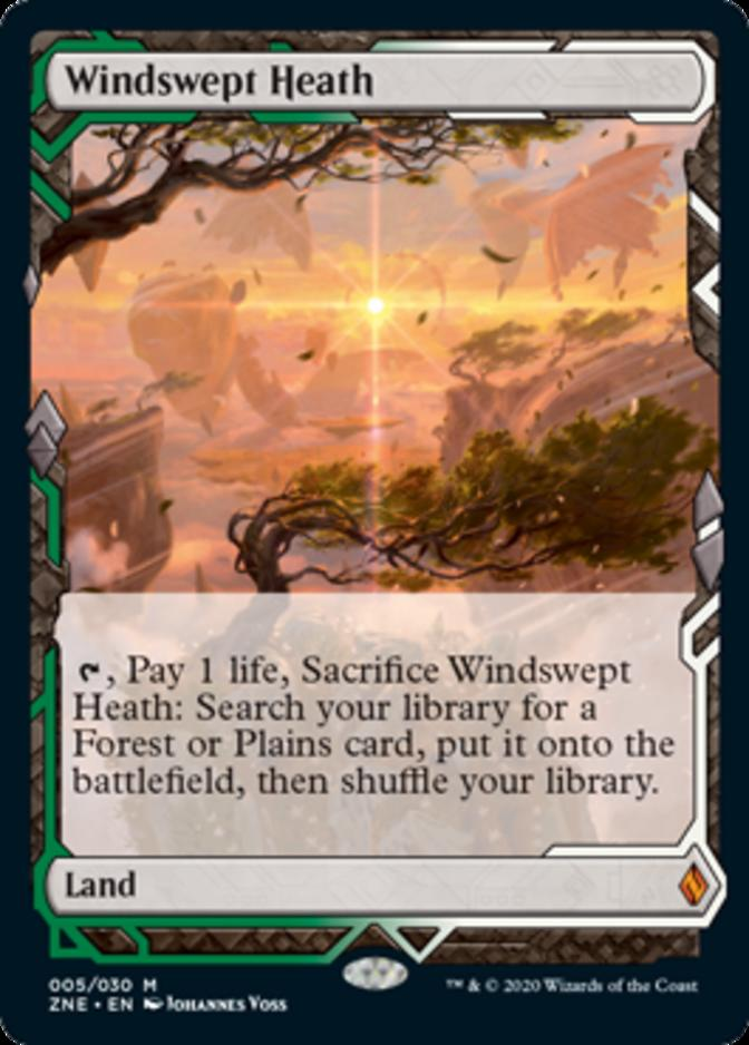 Zendikar Rising Expeditions: Windswept Heath - NM