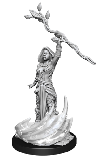 D&D Nolzurs Marvelous Unpainted Miniatures Female Human Druid