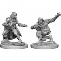 Pathfinder Deep Cuts Unpainted Miniatures Human Rogue Male