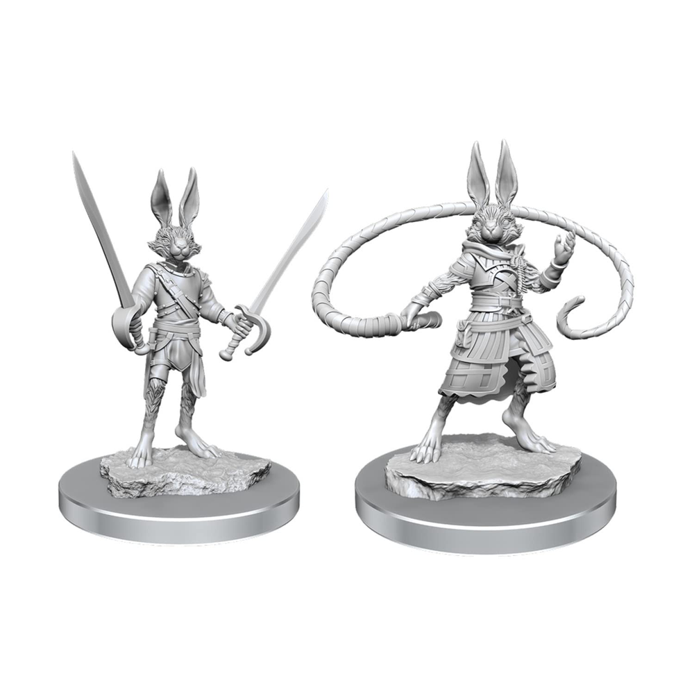 D&D Nolzurs Marvelous Unpainted Miniatures Harengon Rogues