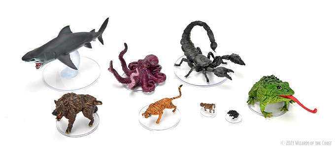 D&D Icons of the Realms Wild Shape & Polymorph Set 1